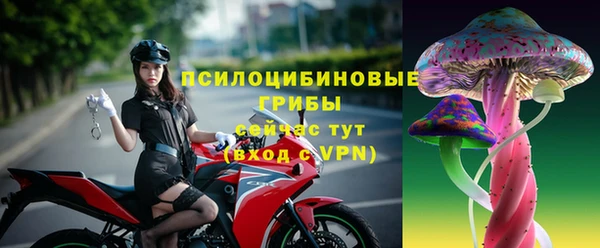 трава Зерноград