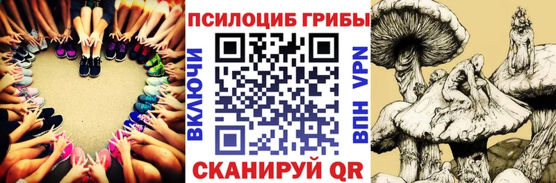 хочу   Одинцово  Псилоцибиновые грибы MAGIC MUSHROOMS 