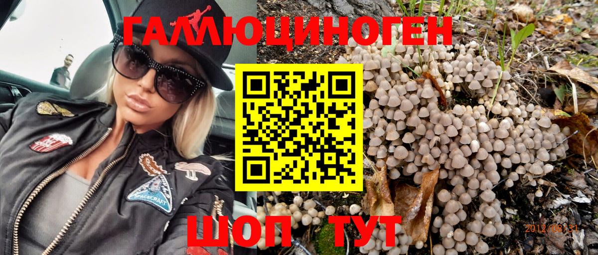 Псилоцибиновые грибы Psilocybine cubensis Одинцово