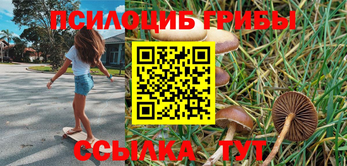 Одинцово  Псилоцибиновые грибы ЛСД  Вход с VPN 