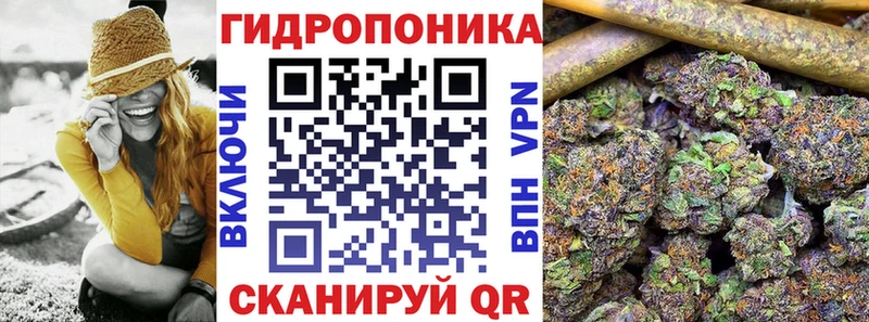Шишки марихуана Amnesia  блэк спрут как войти  Одинцово 